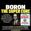 보론 Boron 사용의 효과 이미지