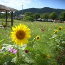 소원면주민자치센터 이미지