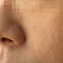 프리페 - 사상구 사상로 201 | 톤보정 프라이머 !!! 소개시켜 줘야쥬. 프리페라 신상 포어리스 프라이머 팟 그린 클레이 후기!
