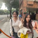 親愛的台灣，再見 ♥︎