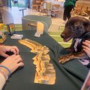 놀다가시개 이미지