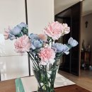 설레임(Sulleim) 이미지