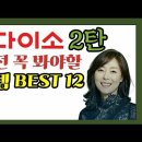 다이소 살림템 BEST12 이미지