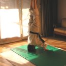 국선도B 이미지