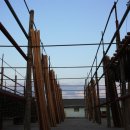 명태덕장 이미지