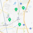 카페이륜당두정점