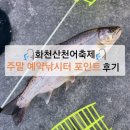 영상 | 화천산천어축제 주말 오픈런 예약낚시터 포인트 꿀팁 수중영상 후기