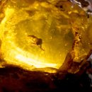 운정세움한의원 이미지