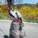 세븐일레븐 안성마산점 이미지