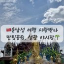 성광 | 중국 속 태국 st 시솽반나 여행 만팅공원, 성광 야시장 후기