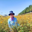 둘레길순대국 이미지