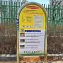 향동숲내초등학교 이미지