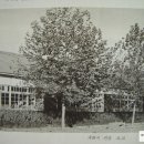 대소원초등학교 이미지