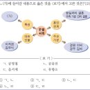 17회 중급 11번(문벌 귀족의 특권) 이미지