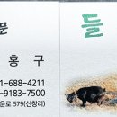해미염소 이미지