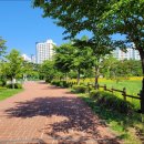 물빛공원 농구장 이미지