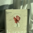 (주)은성개발 - 경주시 | 솔직후기 실제리뷰 수면팩 추천 키에라 콜라겐 마스크팩