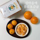 전지적 참견 간식 | 불로초감귤부터 제주황금향까지, 전지적 참견시점 나온 섬마을애