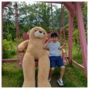 충남공주키즈숙소 대전근교아이와글램핑다녀온 파크오브드림 솔직후기