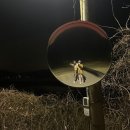 아니타 홈 이미지