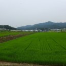 삼정1리마을회관 이미지