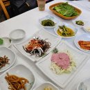 완도LOWA | 보성 맛집. 갯마을횟집.전어세트 먹었는데 미쳤음(내돈)