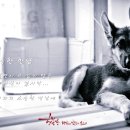 가비야 이미지