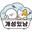개성있냥 네이버블로그