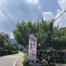 계곡민박 이미지