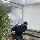 초록사파리_크레팜