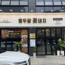 열두달꽃돼지 이미지