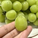 주아농장 이미지