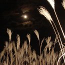 달빛산장 이미지