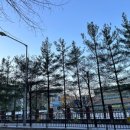 유영채명품생고기 네이버블로그