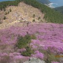 대금산주유소 이미지