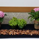 다모아탑공인중개사사무소 이미지