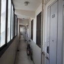 백년대로 337번길 이미지