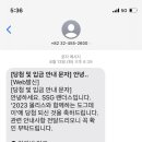 도그데이 이미지