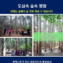 나무병원건강한숲 이미지