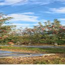 해전농장 이미지