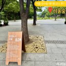 가족이 함께 떠나는 숲체험 & 놀이 - 봄꽃 숲 놀이터 | 성수동 서울숲 놀이터 8월 여름 데이트코스 바닥분수 시간 놀거리 후기
