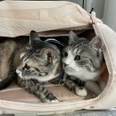 연지동물병원 이미지