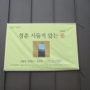 모긴미술관 이미지