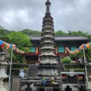 화개햇살민박 이미지