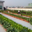 안산시농업기술센터 이미지