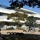 호원대부속유치원 이미지