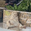 남부한우식육점 | 왜관 맛집 현지인 추천 <양포횟집, 작은마을, 청풍한우식육점, 글라우, 지금보고싶다>