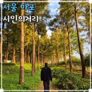 시인의 공원 | 서울 숲길 상암 하늘공원 시인의거리 메타세콰이어길 마포 가볼만한곳