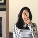 돌체빈스 이미지