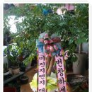 춘포면-03 이미지